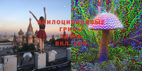 МДПВ Лихославль