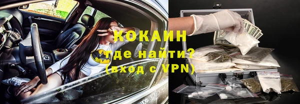 мдпв Магас